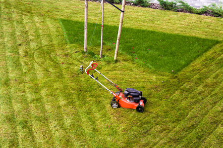 Lawnmower in field for ground care / landscaping