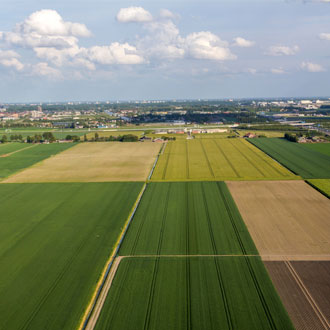 Farm land preparing for diversification