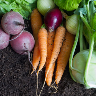 Countryside Stewardship - organic vegetables on soil