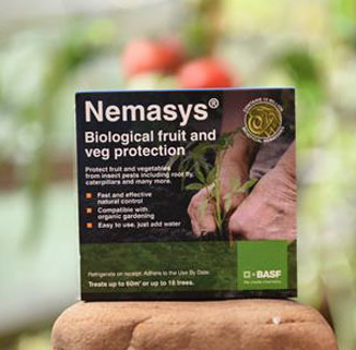 Nemsays BASF