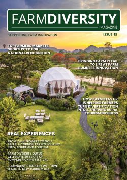 Issue 15