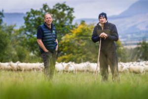 calum mcdiarmid of murthly wins agriscot sheep farm of the year