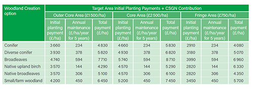 Scottish farmers growing their business through tree planting