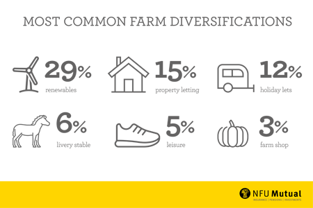 Farm diversification  Infographic