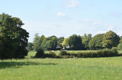 Farm Field