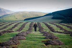 Scottish farmers growing their business through tree planting