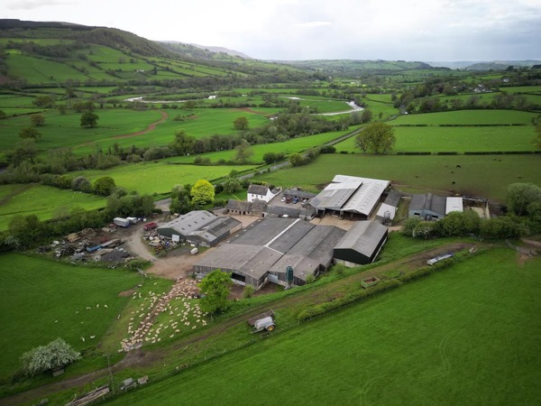 Newton Farm