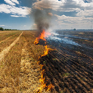 Large Scale Farm Fire Breaks Out In Perthshire | Farm