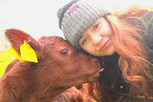 Abbie with cow on A & A Livestock