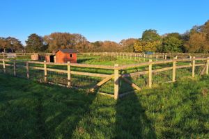 broomey croft farm to let 