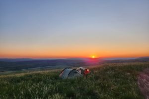 camp wild tinnis hill