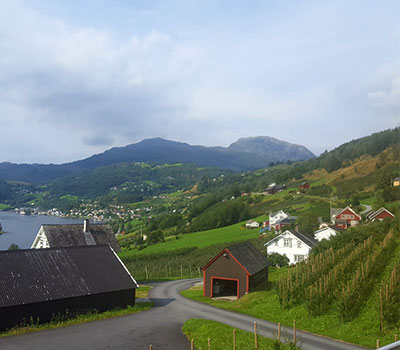 cider production in Norway - the farm diversity site with orchard in foreground