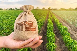 Agricultural Finance continues