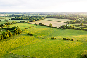 farmland in England