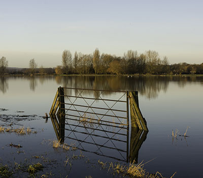 Farming Recovery Fund is being given to farmers affected by summer flooding