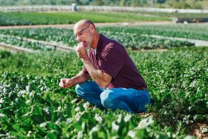 man in farming field