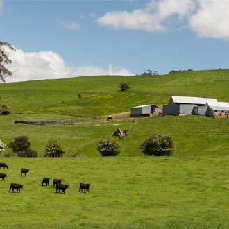 Rural farm