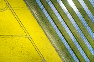 National Food Strategy - solar panels on farm