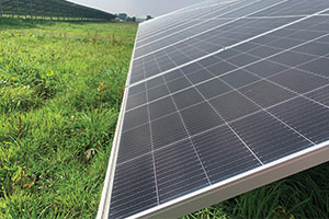 Solar panels on farm
