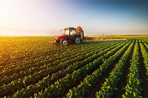 agricultural Landmark Information