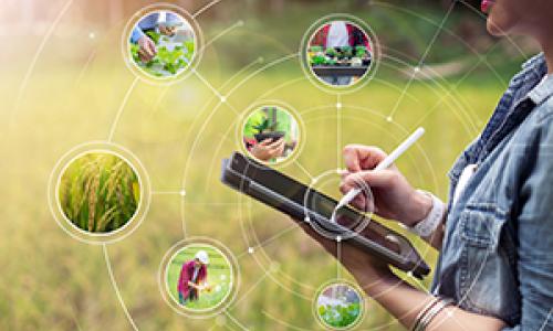Technology to help with food production