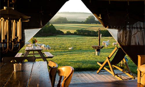 Feather Down Farm Glamping
