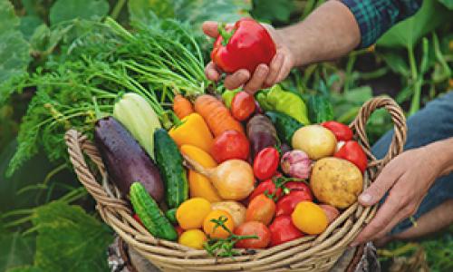 grants to improve farm profitability