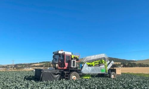 Harvest