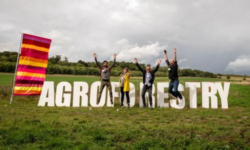 Agroforestry