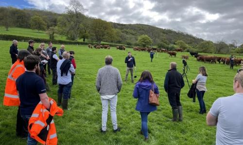 Newton Farm