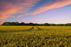Diversifying Agricultural Land: Building to Rent or Sell