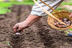 Prepping the Land for the Season Ahead