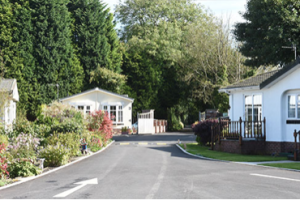 Horses in a field - diversification can turn rural land into houses