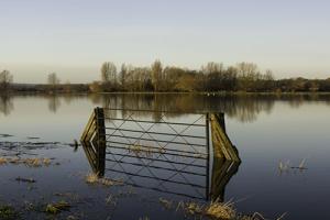 Farming Recovery Fund is  being given to farmers affected by summer flooding