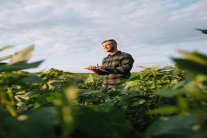 Farmer examining crops to grow his rural businesses