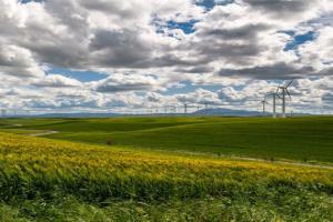 Wind farm - Farming Diversification With Pollock Associates