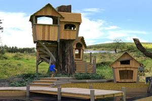 Playground from Monkey Business Design - where the wild things grow!