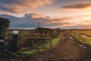 Gate opening to a field of farm that needs Farm marketing 