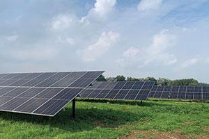 Solar panels on farm