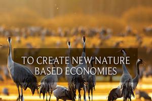 Improve Nature economies
