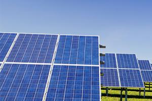 Solar farm on diversified land