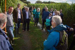 miscanthus farm walk