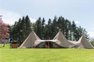 Farm wedding tipi