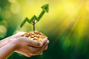 Farm profitability
