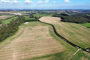 Chalksole Farm, Kent’s largest Habitat Bank