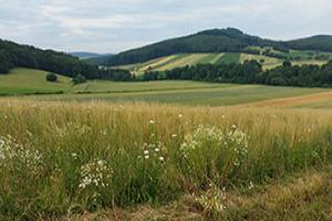 New free course to improve biodoversity