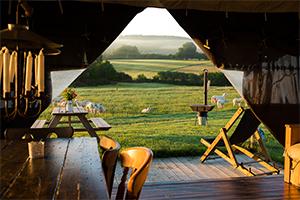Feather Down Farm Glamping