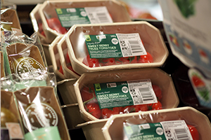 This image has been removed. For security reasons, only images from the local domain are allowed. Image removed.