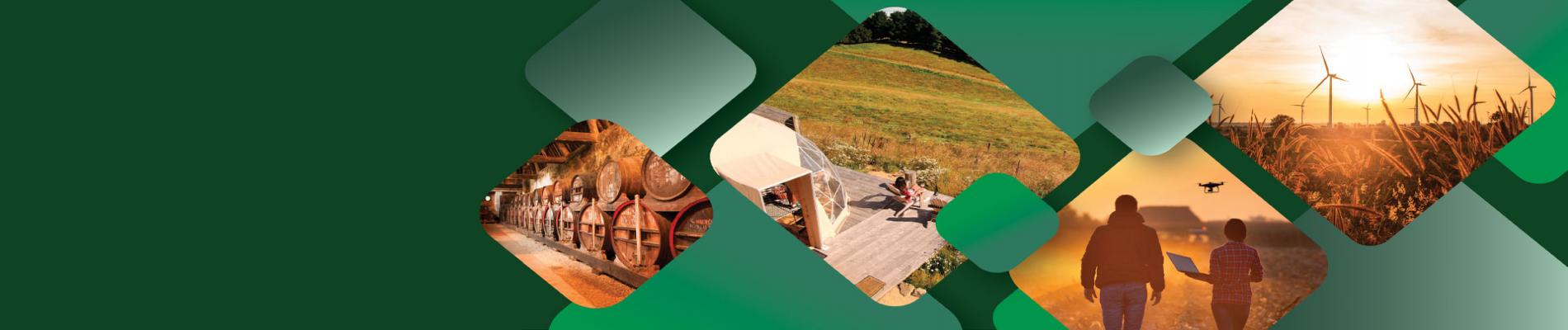Farm Diversity Live banner 